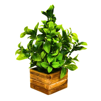 Artificial Leaves Plant in Wooden Pot Perfect Potted Decoration for Home Living Room & Office Spaces Height - 29cm