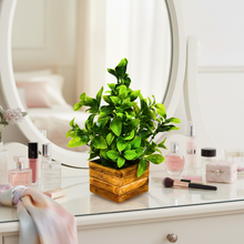 Artificial Leaves Plant in Wooden Pot Perfect Potted Decoration for Home Living Room & Office Spaces Height - 29cm
