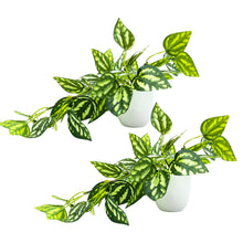 Artificial Plant Leaves Falling in Pot, Home and Office Decor Item for Desk & Wall Shelves