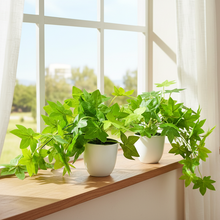 Artificial Plant Maple Leaves Falling in Pot, Home and Office Decor Item for Desk & Wall Shelves