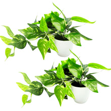 Artificial Money Plant Leaves Falling in Pot, Home and Office Decor Item for Desk & Wall Shelves