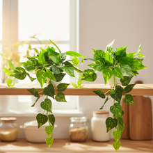 Artificial Money Plant Leaves Falling in Pot, Home and Office Decor Item for Desk & Wall Shelves