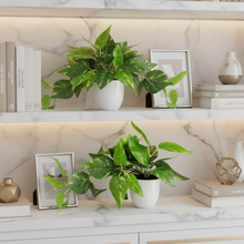 Artificial Money Plant Leaves Falling in Pot, Home and Office Decor Item for Desk & Wall Shelves