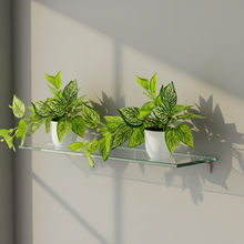 Artificial Plant Ficus Leaves Falling in Pot, Home and Office Decor Item for Desk & Wall Shelves