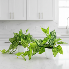 Artificial Plant Ficus Leaves Falling in Pot, Home and Office Decor Item for Desk & Wall Shelves