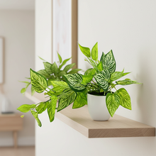 Artificial Plant Ficus Leaves Falling in Pot, Home and Office Decor Item for Desk & Wall Shelves