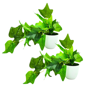 Artificial Plant Common ivy Leaves Falling in Pot, Home and Office Decor Item for Desk & Wall Shelves