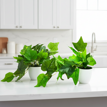 Artificial Plant Common ivy Leaves Falling in Pot, Home and Office Decor Item for Desk & Wall Shelves