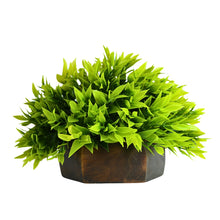 Artificial Green Bamboo Topairy in Wood Hexagon Pot - 18 cm Height