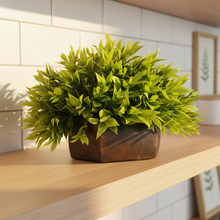 Artificial Green Bamboo Topairy in Wood Hexagon Pot - 18 cm Height