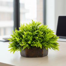 Artificial Green Bamboo Topairy in Wood Hexagon Pot - 18 cm Height