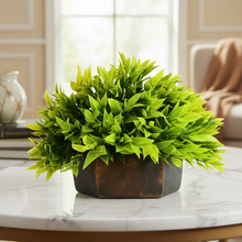 Artificial Green Bamboo Topairy in Wood Hexagon Pot - 18 cm Height