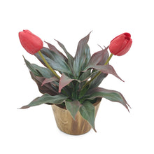 Artificial Flower Tulip Grass in Wood Pot - Home & Office Decor Elegant Potted Plant for Tabletop/Shelves Enhancement