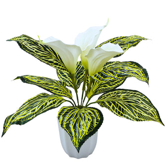 Artificial Calla Lily Flower with Plastic Pot (White, 1 Piece), Artificial Flora