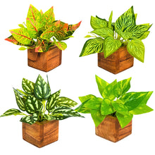 Artificial Leaves Plant in Small Wood Pot - 12cm Height - Pack of 4 - Home & Office Decor Elegant Potted Plant for Tabletop/Shelves Enhancement