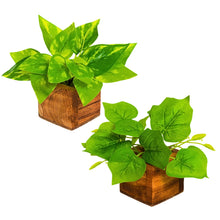 Artificial Leaves Plant in Small Wood Pot - 12cm Height - Pack of 2 - Home & Office Decor Elegant Potted Plant for Tabletop/Shelves Enhancement