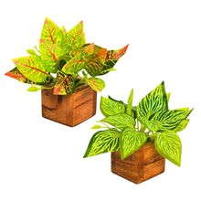 Artificial Leaves Plant in Small Wood Pot - 12cm Height - Pack of 2 - Home & Office Decor Elegant Potted Plant for Tabletop/Shelves Enhancement