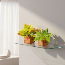 Artificial Leaves Plant in Small Wood Pot - 12cm Height - Pack of 2 - Home & Office Decor Elegant Potted Plant for Tabletop/Shelves Enhancement