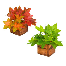 Artificial Leaves Plant in Small Wood Pot - 12cm Height - Pack of 2 - Home & Office Decor Elegant Potted Plant for Tabletop/Shelves Enhancement