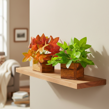 Artificial Leaves Plant in Small Wood Pot - 12cm Height - Pack of 2 - Home & Office Decor Elegant Potted Plant for Tabletop/Shelves Enhancement