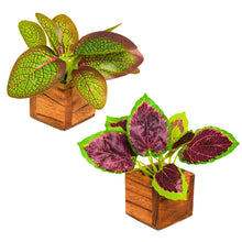 Artificial Leaves Plant in Small Wood Pot - 12cm Height - Pack of 2 - Home & Office Decor Elegant Potted Plant for Tabletop/Shelves Enhancement