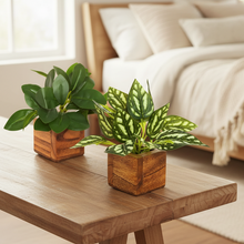 Artificial Leaves Plant in Small Wood Pot - 12cm Height - Pack of 2 - Home & Office Decor Elegant Potted Plant for Tabletop/Shelves Enhancement