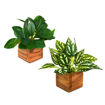 Artificial Leaves Plant in Small Wood Pot - 12cm Height - Pack of 2 - Home & Office Decor Elegant Potted Plant for Tabletop/Shelves Enhancement