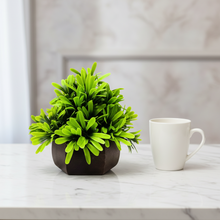 Artificial Leaves Plant with Wood Hexagon Pot ( Height 16.5 cm)