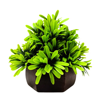 Artificial Leaves Plant with Wood Hexagon Pot ( Height 16.5 cm)