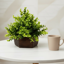 Artificial Leaves Plant with Wood Hexagon Pot ( Height 16.5 cm)