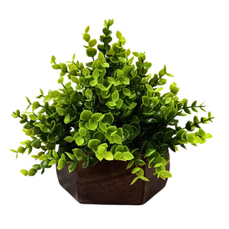 Artificial Leaves Plant with Wood Hexagon Pot ( Height 16.5 cm)