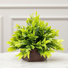 Artificial Leaves Plant with Wood Hexagon Pot ( Height 16.5 cm)