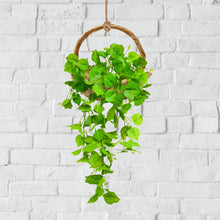 Artificial Plant Leaves Hanging ? Lush Greenery for Home & Office (Pot Not Included)