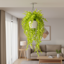 Artificial  Plants Filler Falling without Pot Design-02
