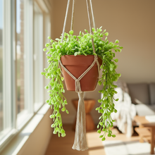 Artificial  Plants Filler Falling without Pot Design-20