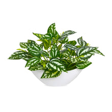 Artificial Leaves Plant in Boat Pot - 18cm Height approx Design-01