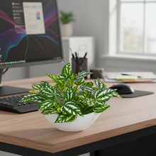 Artificial Leaves Plant in Boat Pot - 18cm Height approx Design-01