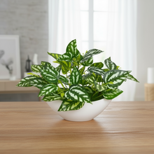 Artificial Leaves Plant in Boat Pot - 18cm Height approx Design-01