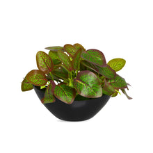 Artificial Leaves Plant in Boat Pot - 18cm Height approx Design-03