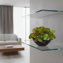 Artificial Leaves Plant in Boat Pot - 18cm Height approx Design-03