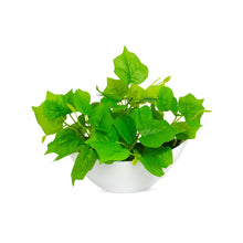 Artificial Leaves Plant in Boat Pot - 18cm Height approx Design-04