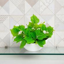 Artificial Leaves Plant in Boat Pot - 18cm Height approx Design-04