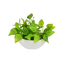 Artificial Leaves Plant in Boat Pot - 18cm Height approx Design-05