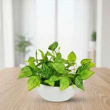 Artificial Leaves Plant in Boat Pot - 18cm Height approx Design-05