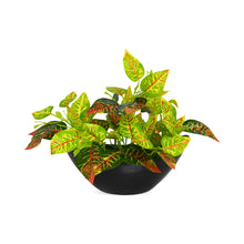 Artificial Leaves Plant in Boat Pot - 18cm Height approx Design-06