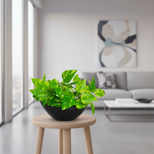 Artificial Leaves Plant in Boat Pot - 18cm Height approx Design-08