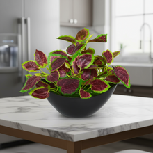 Artificial Leaves Plant in Boat Pot - 18cm Height approx Design-10