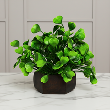 Artificial Leaves Plant with Wood Hexagon Pot ( Height 16.5 cm)