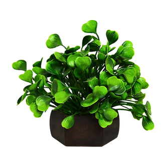 Artificial Leaves Plant with Wood Hexagon Pot ( Height 16.5 cm)