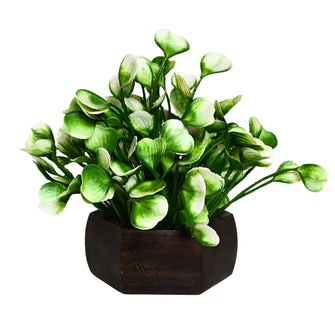 Artificial Leaves Plant with Wood Hexagon Pot ( Height 16.5 cm)